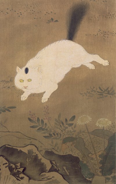 A White Cat, Illustration from The Kokka Magazine, Published in Japan, 1896-7 by Lu Ji